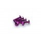 Screws PUIG ANODIZED 3995L violet M6 x 30mm (6pcs)