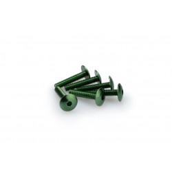 Screws PUIG ANODIZED 3995V verde M6 x 30mm (6pcs) Screws PUIG ANODIZED 3995V verde M6 x 30mm (6pcs)