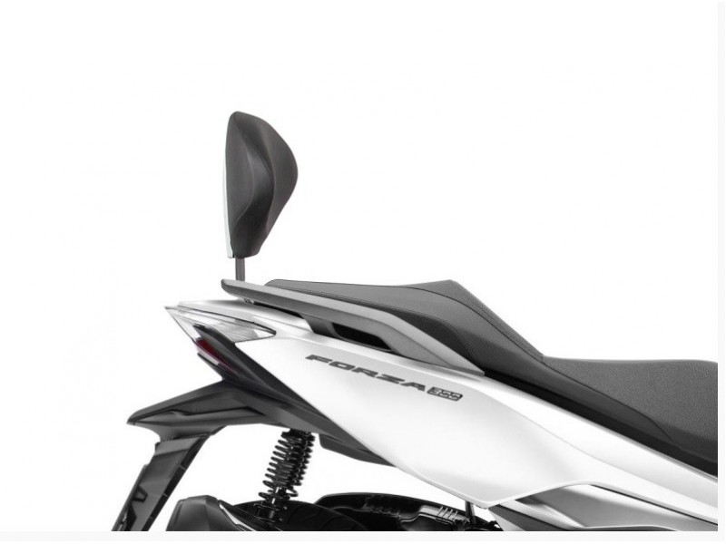 Sistem de fixare SHAD H0FR17RV pentru spatar SHAD