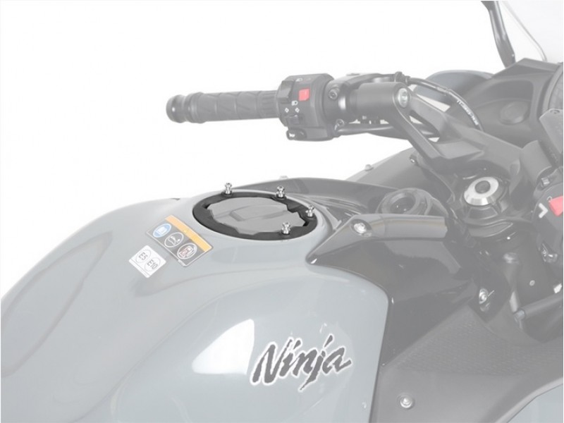 Pin system SHAD X025PS