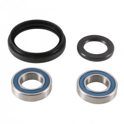 Wheel Bearing Kit All Balls Racing WB25-1786 fata Wheel Bearing Kit All Balls Racing WB25-1786 fata