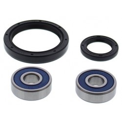 Wheel Bearing Kit All Balls Racing WB25-1785 fata Wheel Bearing Kit All Balls Racing WB25-1785 fata