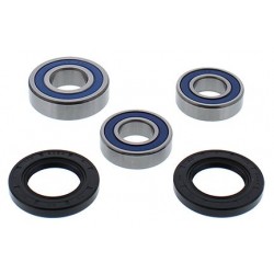 Wheel Bearing Kit All Balls Racing WB25-1779 spate Wheel Bearing Kit All Balls Racing WB25-1779 spate