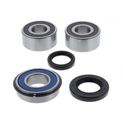 Wheel Bearing Kit All Balls Racing WB25-1756 spate Wheel Bearing Kit All Balls Racing WB25-1756 spate