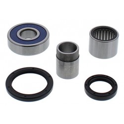 Wheel Bearing Kit All Balls Racing WB25-1766 spate Wheel Bearing Kit All Balls Racing WB25-1766 spate