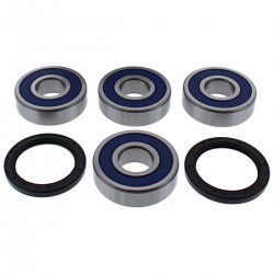 Wheel Bearing Kit All Balls Racing WB25-1763 spate Wheel Bearing Kit All Balls Racing WB25-1763 spate