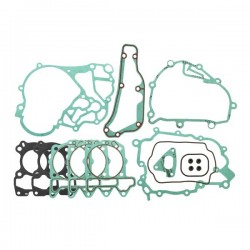 Set garnituri motor RMS 100689951 Set garnituri motor RMS 100689951