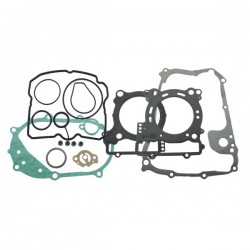 Set garnituri motor RMS 100689861 Set garnituri motor RMS 100689861