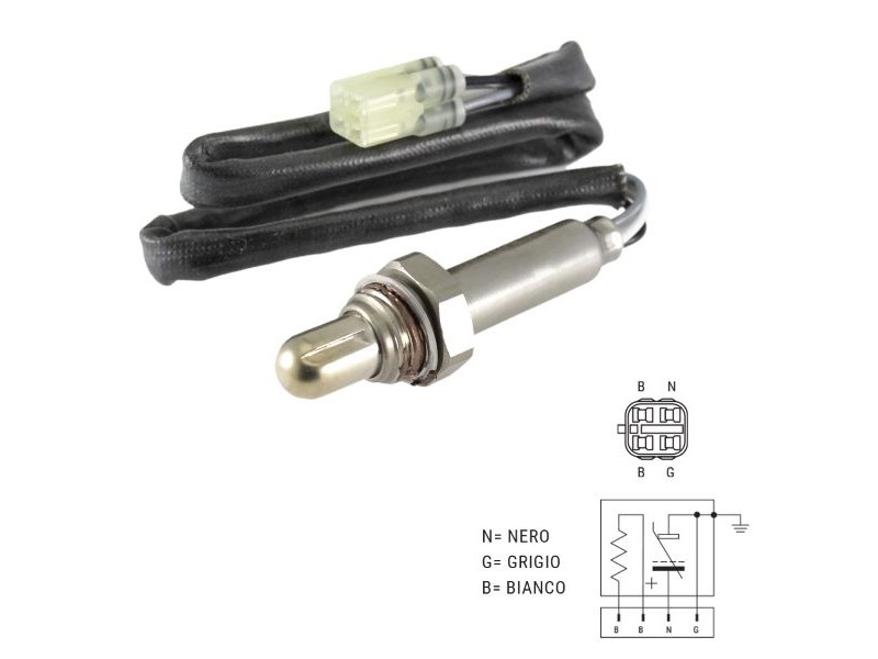 Oxygen sensor RMS 100120240 Oxygen sensor RMS 100120240