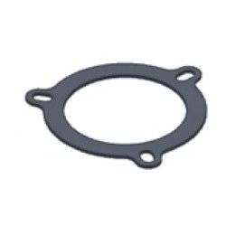 Graphite plate gasket MIVV 50.73.028.1 for big flange (3holes) Graphite plate gasket MIVV 50.73.028.1 for big flange (3holes)
