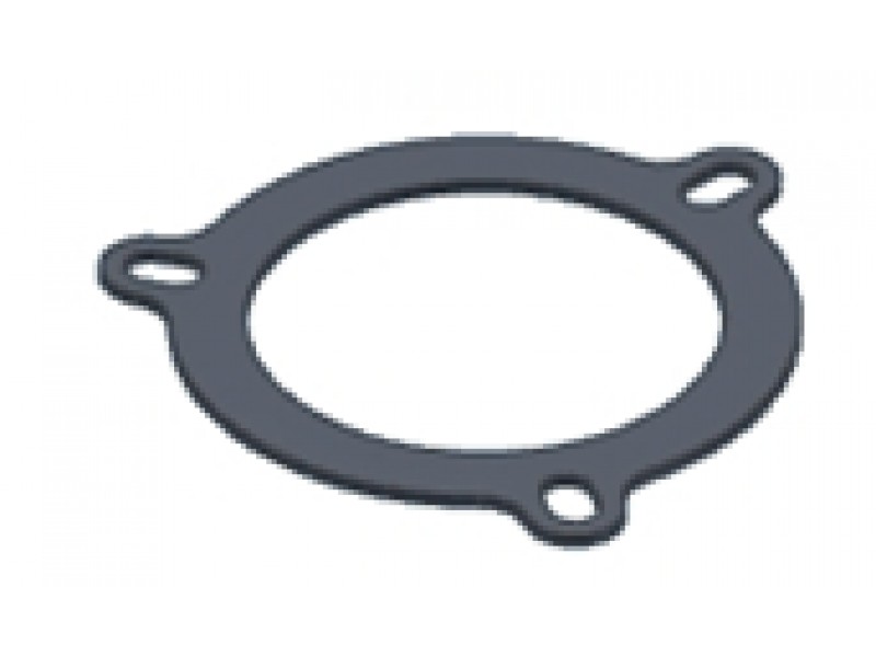 Graphite plate gasket MIVV 50.73.028.1 for big flange (3holes) Graphite plate gasket MIVV 50.73.028.1 for big flange (3holes)