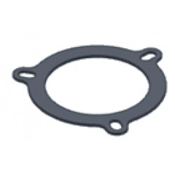 Graphite plate gasket MIVV 50.73.027.1 for small flange (3 holes) Graphite plate gasket MIVV 50.73.027.1 for small flange (3 holes)
