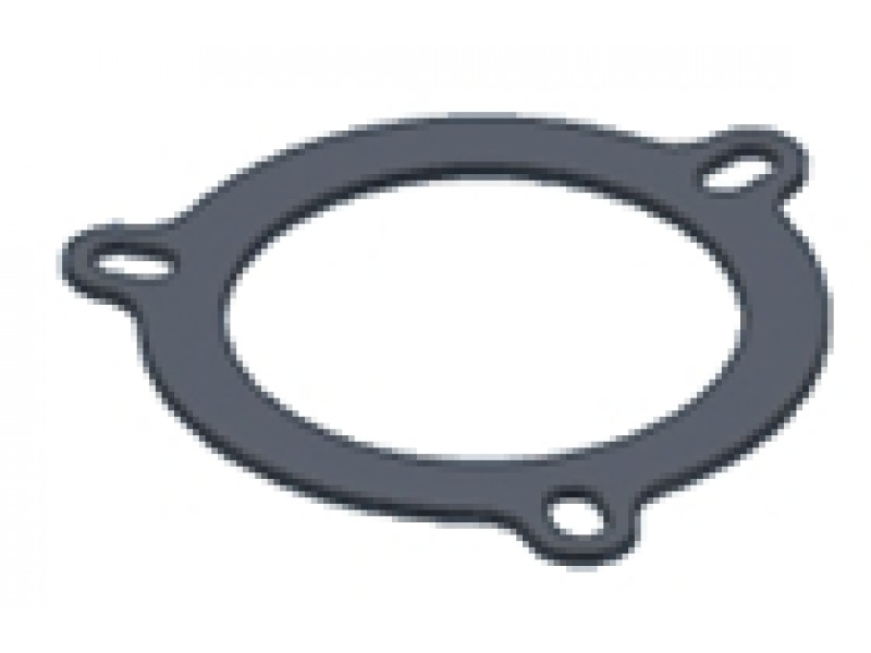 Graphite plate gasket MIVV 50.73.027.1 for small flange (3 holes)