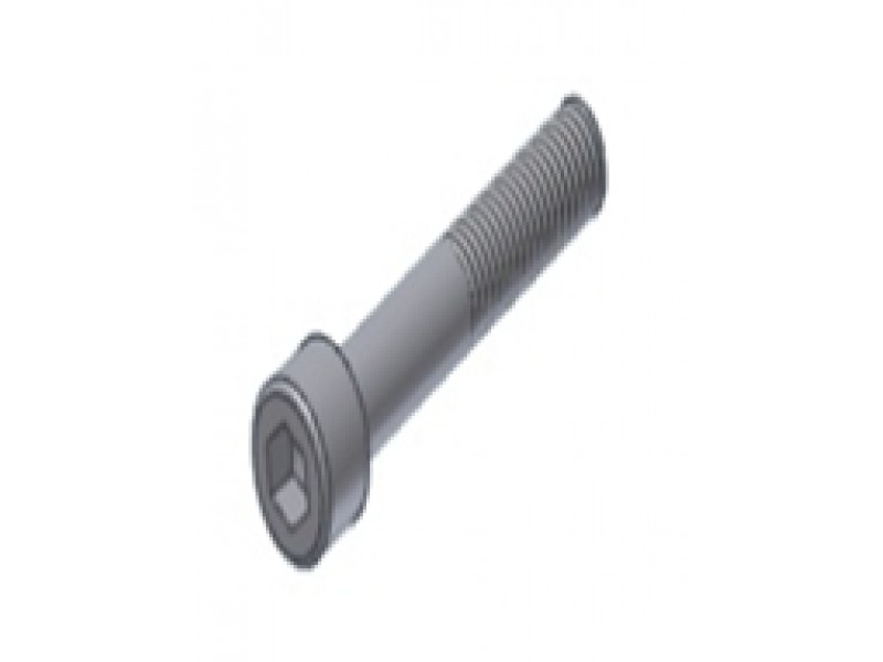 Screw MIVV 50.73.180.1 M10 X 80