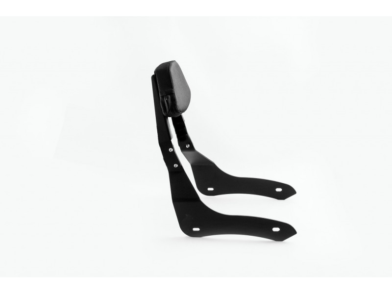Sissybar plane CUSTOMACCES NON DETACHABLE RQ0045N Negru