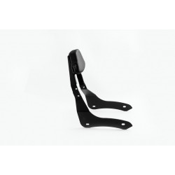 Sissybar plane CUSTOMACCES NON DETACHABLE RQ0047N Negru Sissybar plane CUSTOMACCES NON DETACHABLE RQ0047N Negru
