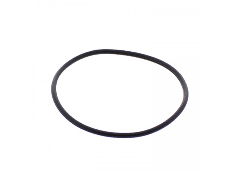 Garnitura galerie de admisie ATHENA O-Ring 2x47mm Garnitura galerie de admisie ATHENA O-Ring 2x47mm