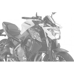 Radiator side panels PUIG 9371C carbon look Radiator side panels PUIG 9371C carbon look