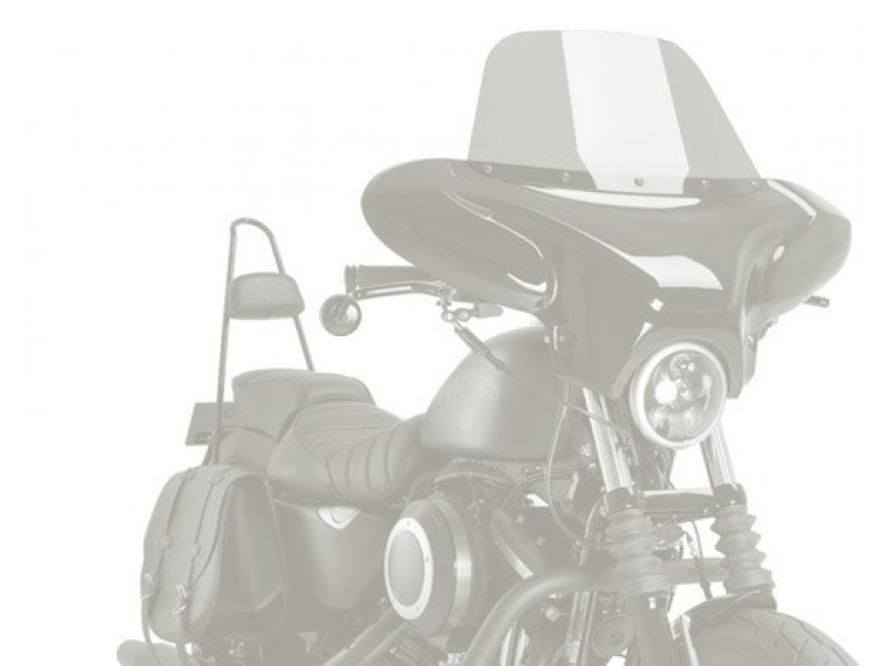 Windshield CUSTOMACCES BATWING EH0009W transparent