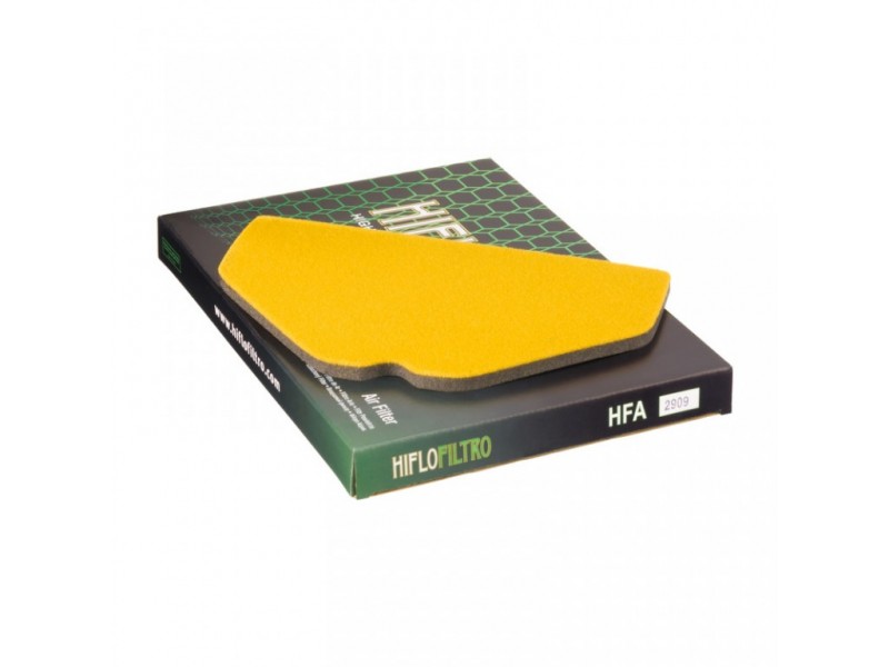 Filtru de aer HIFLOFILTRO HFA2909 Filtru de aer HIFLOFILTRO HFA2909