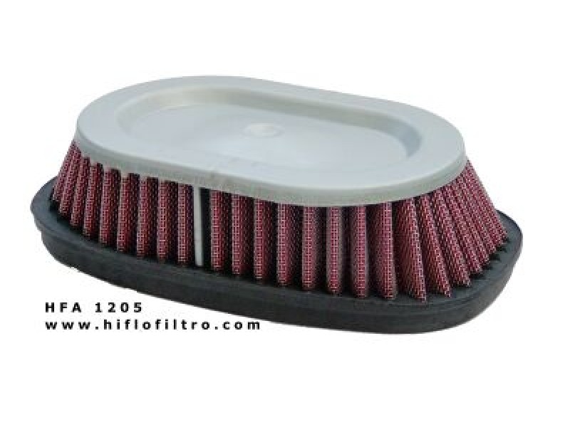 Filtru de aer HIFLOFILTRO HFA1205 Filtru de aer HIFLOFILTRO HFA1205