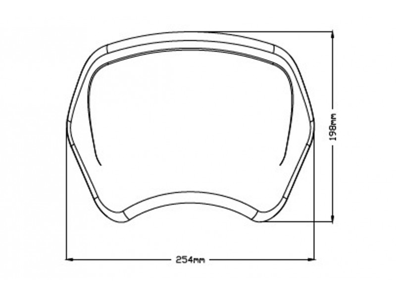 Windshield PUIG FRONTAL PLATE 3812C carbon look