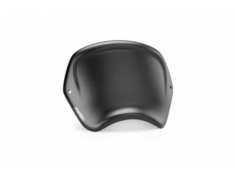 Windshield PUIG FRONTAL PLATE 3812C carbon look