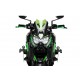 Windshield PUIG NEW. GEN SPORT 3840V verde
