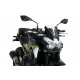 Windshield PUIG NEW. GEN SPORT 3840W transparent