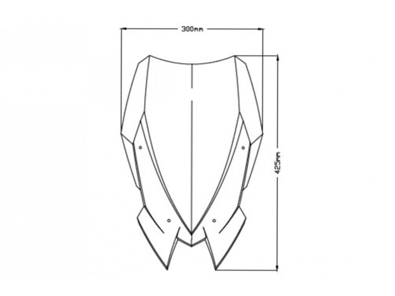 Windshield PUIG NEW. GEN TOURING 3841W transparent