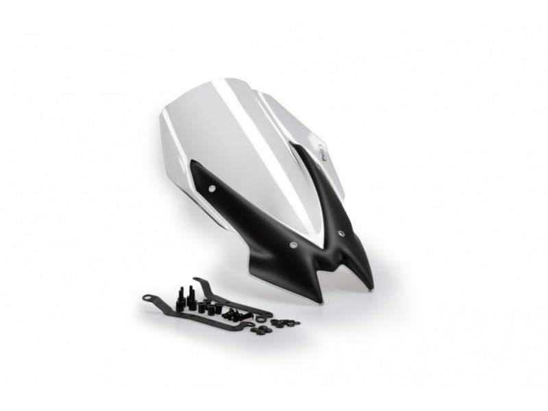 Windshield PUIG NEW. GEN TOURING 3841W transparent