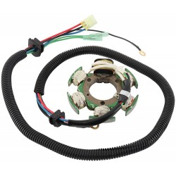 Stator ARROWHEAD 340-58078 Stator ARROWHEAD 340-58078