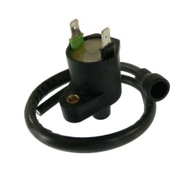 Bobina de inductie ARROWHEAD IHA0003 Bobina de inductie ARROWHEAD IHA0003