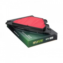 Filtru de aer HIFLOFILTRO HFA2924 Filtru de aer HIFLOFILTRO HFA2924