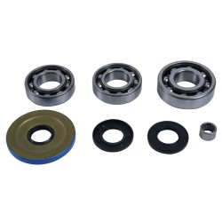 Kit rulmenti si garnituri diferential All Balls Racing 25-2119 DB25-2119 fata Kit rulmenti si garnituri diferential All Balls Racing 25-2119 DB25-2119 fata