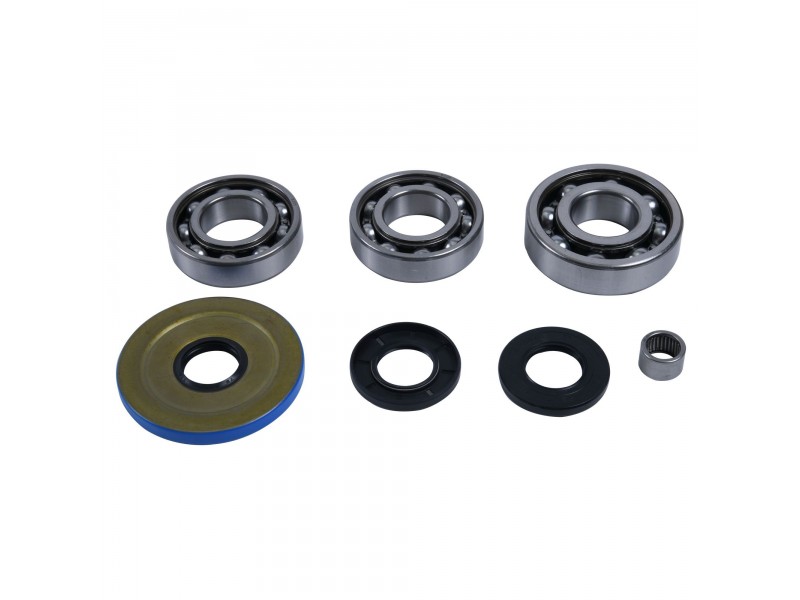 Kit rulmenti si garnituri diferential All Balls Racing 25-2119 DB25-2119 fata