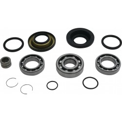Kit rulmenti si garnituri diferential All Balls Racing 25-2137 DB25-2137 spate Kit rulmenti si garnituri diferential All Balls Racing 25-2137 DB25-2137 spate