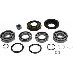Kit rulmenti si garnituri diferential All Balls Racing 25-2138 DB25-2138 spate Kit rulmenti si garnituri diferential All Balls Racing 25-2138 DB25-2138 spate