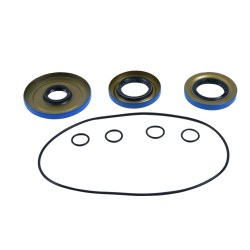 Differential Seal Only Kit All Balls Racing 25-2121-5 DB25-2121-5 fata Differential Seal Only Kit All Balls Racing 25-2121-5 DB25-2121-5 fata