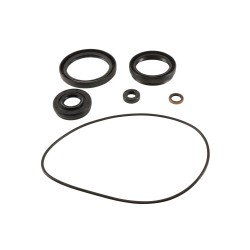 Differential Seal Only Kit All Balls Racing 25-2120-5 DB25-2120-5 fata Differential Seal Only Kit All Balls Racing 25-2120-5 DB25-2120-5 fata