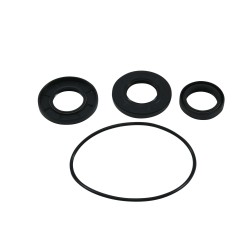 Differential Seal Only Kit All Balls Racing 25-2058-5 DB25-2058-5 fata Differential Seal Only Kit All Balls Racing 25-2058-5 DB25-2058-5 fata