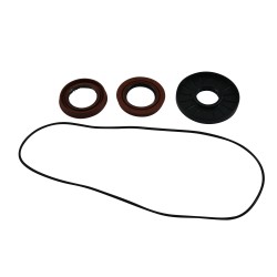 Differential Seal Only Kit All Balls Racing 25-2088-5 DB25-2088-5 spate Differential Seal Only Kit All Balls Racing 25-2088-5 DB25-2088-5 spate