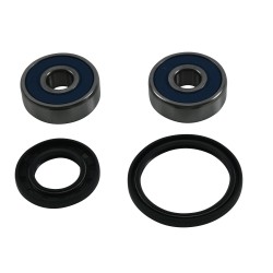 Wheel Bearing Kit All Balls Racing 25-1796 WB25-1796 fata Wheel Bearing Kit All Balls Racing 25-1796 WB25-1796 fata