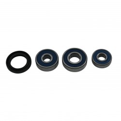 Wheel Bearing Kit All Balls Racing 25-1793 WB25-1793 spate Wheel Bearing Kit All Balls Racing 25-1793 WB25-1793 spate