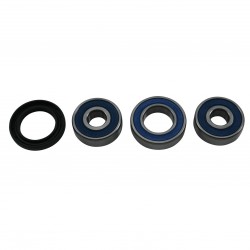 Wheel Bearing Kit All Balls Racing 25-1797 WB25-1797 spate Wheel Bearing Kit All Balls Racing 25-1797 WB25-1797 spate