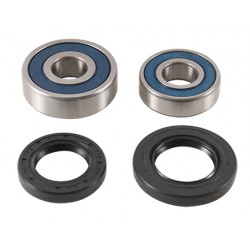 Wheel Bearing Kit All Balls Racing 25-1791 WB25-1791 spate Wheel Bearing Kit All Balls Racing 25-1791 WB25-1791 spate