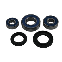 Wheel Bearing Kit All Balls Racing 25-1795 WB25-1795 spate Wheel Bearing Kit All Balls Racing 25-1795 WB25-1795 spate