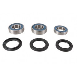Wheel Bearing Kit All Balls Racing 25-1798 WB25-1798 spate Wheel Bearing Kit All Balls Racing 25-1798 WB25-1798 spate
