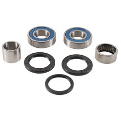 Wheel Bearing Kit All Balls Racing 25-1789 WB25-1789 spate Wheel Bearing Kit All Balls Racing 25-1789 WB25-1789 spate