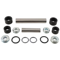 Rear independent suspension knuckle only kit All Balls Racing 50-1216 AK50-1216 Rear independent suspension knuckle only kit All Balls Racing 50-1216 AK50-1216